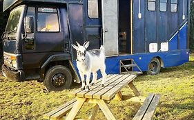 North Yorkshire Horse Box